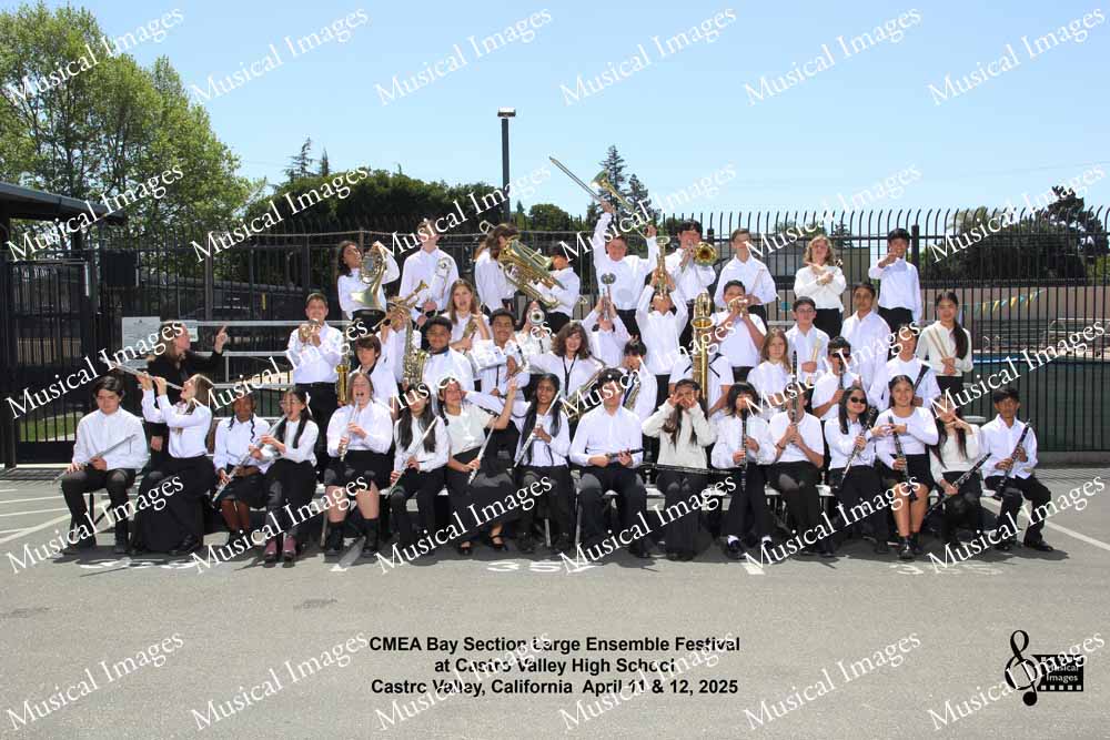 Musical Images